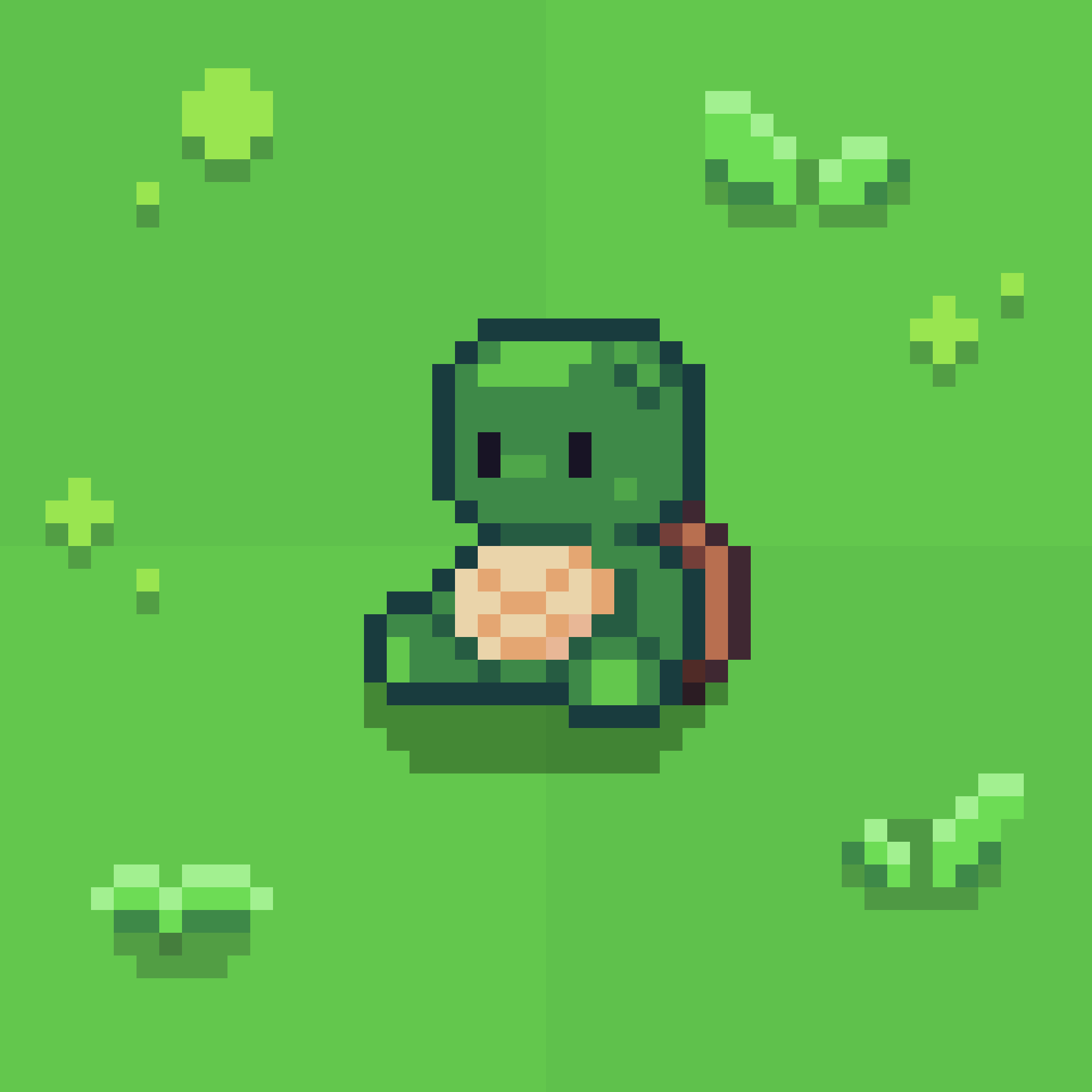 Turtle Bear