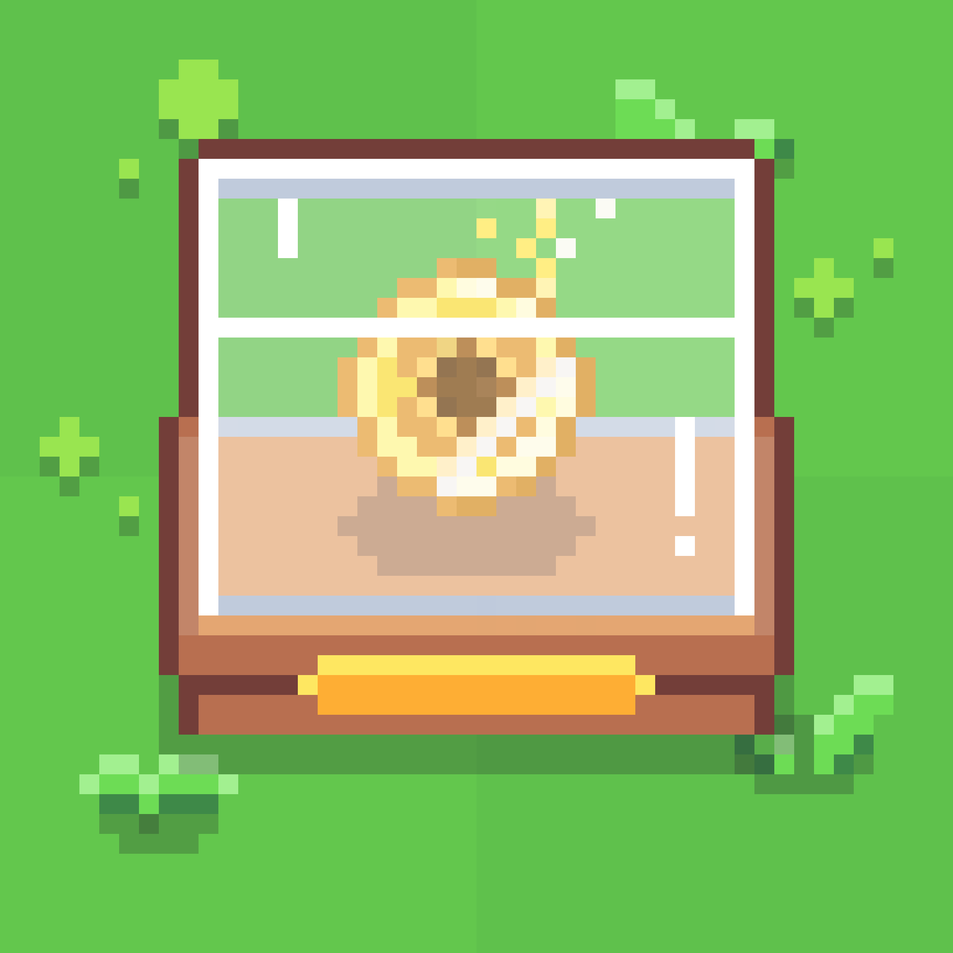 Sunflower Coin