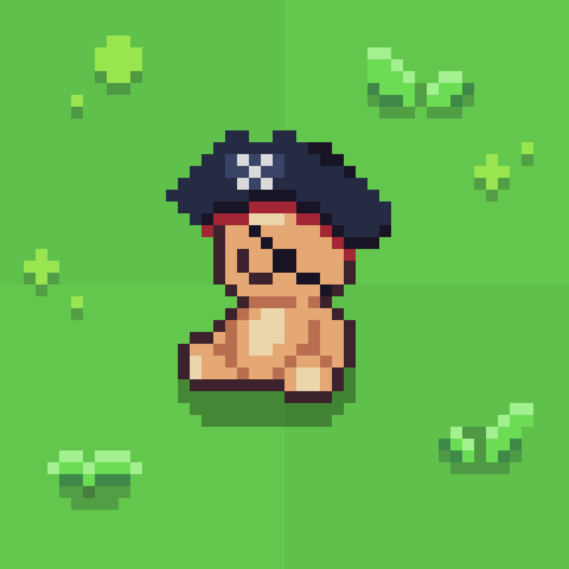 Pirate Bear