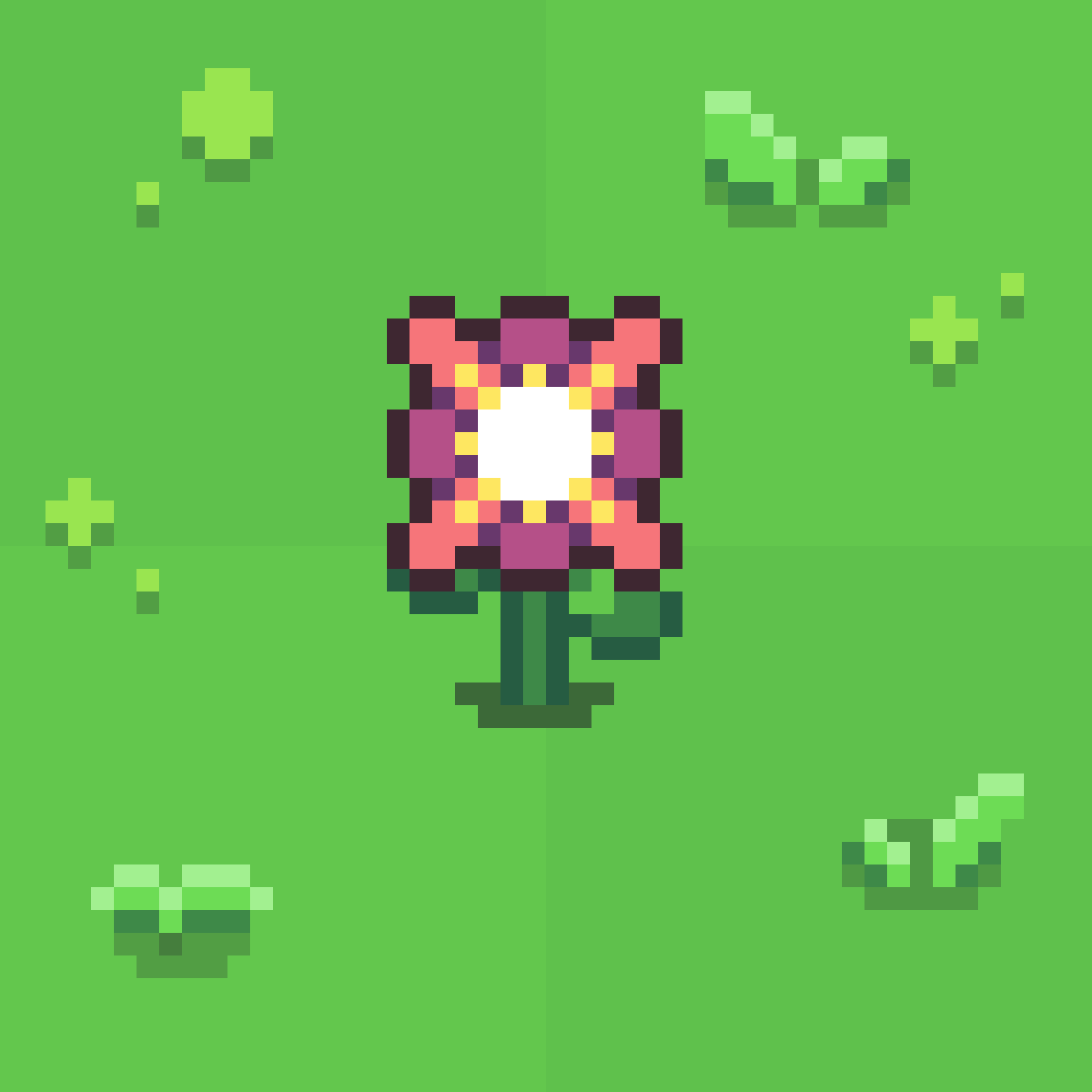 Dawn Flower