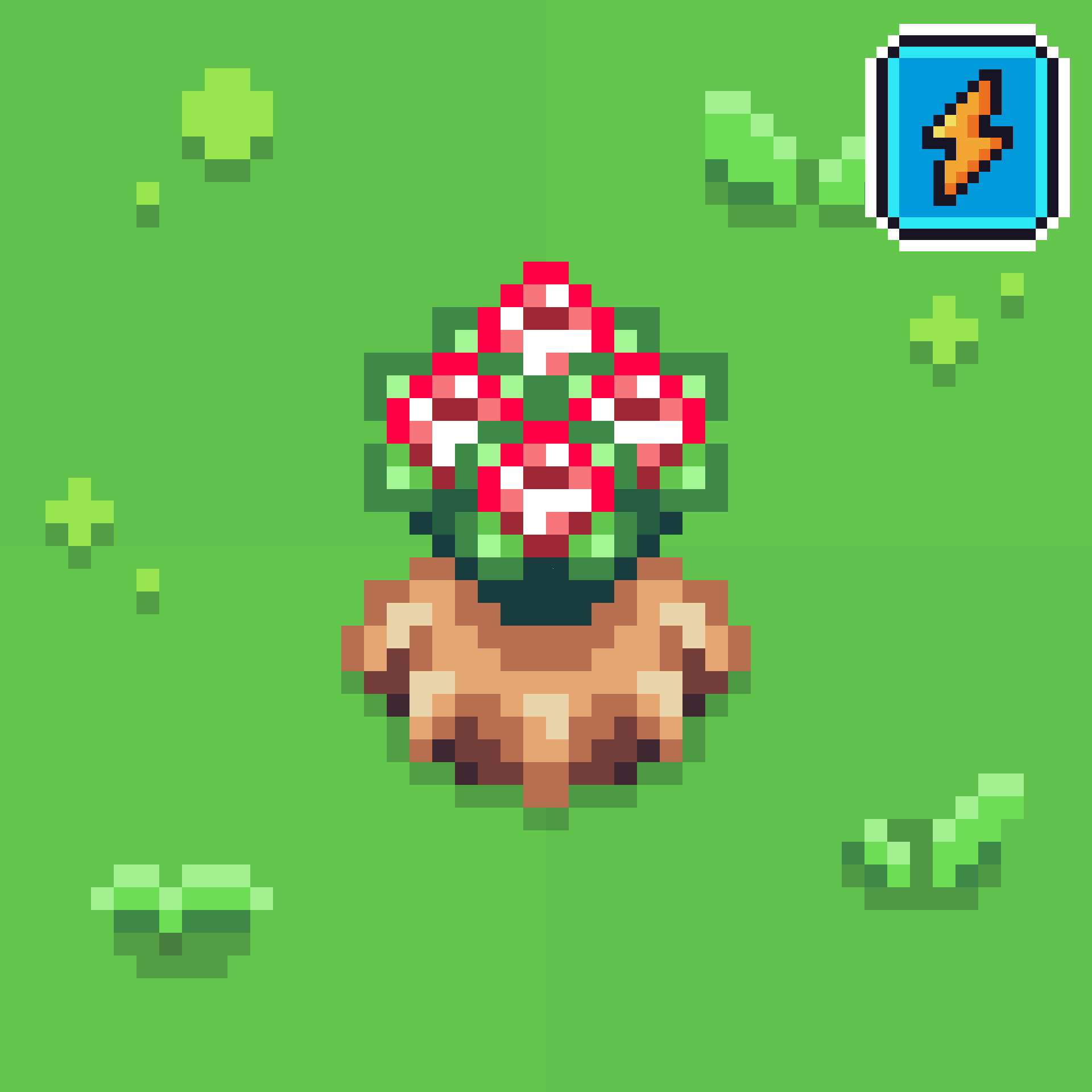 Desert Rose