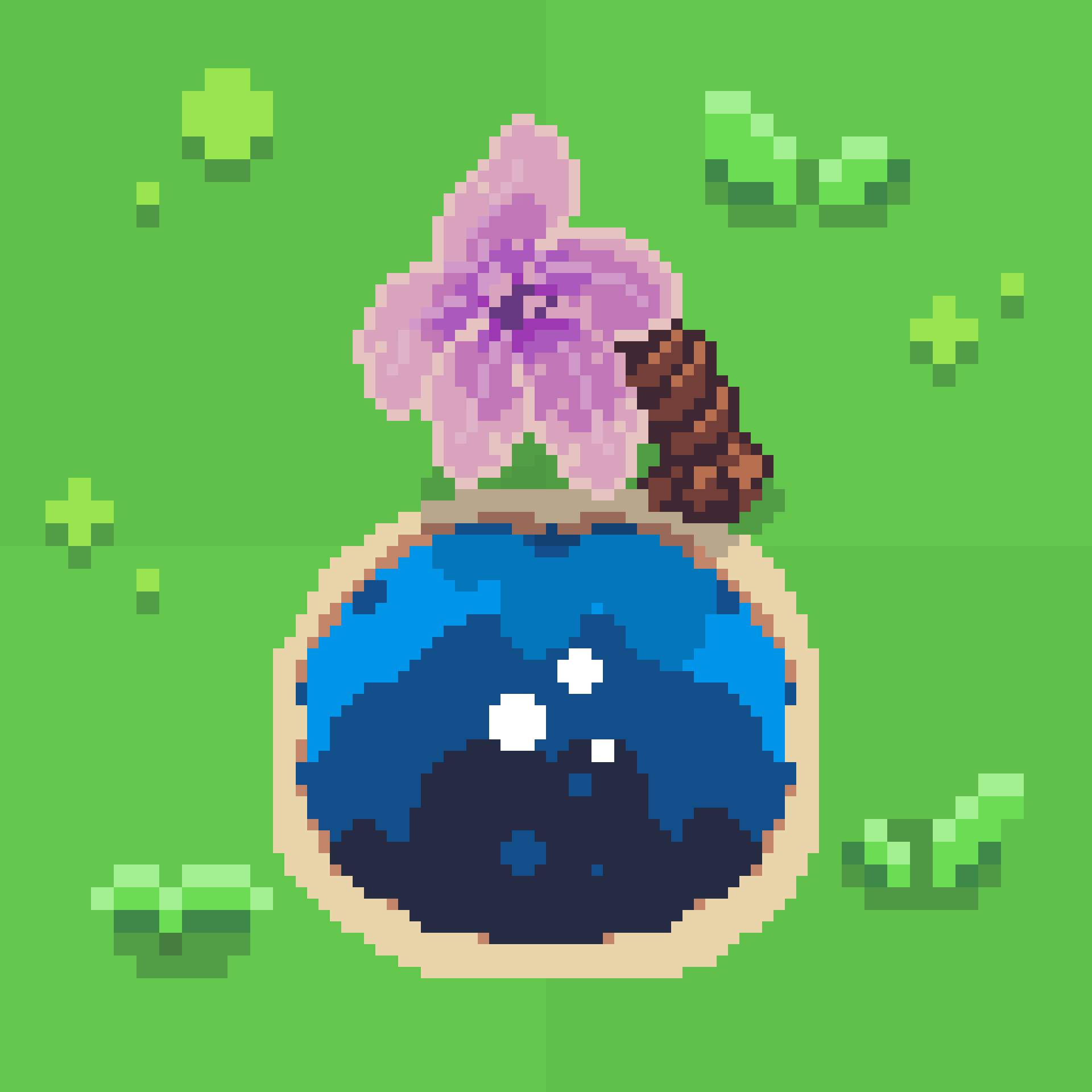 Oasis