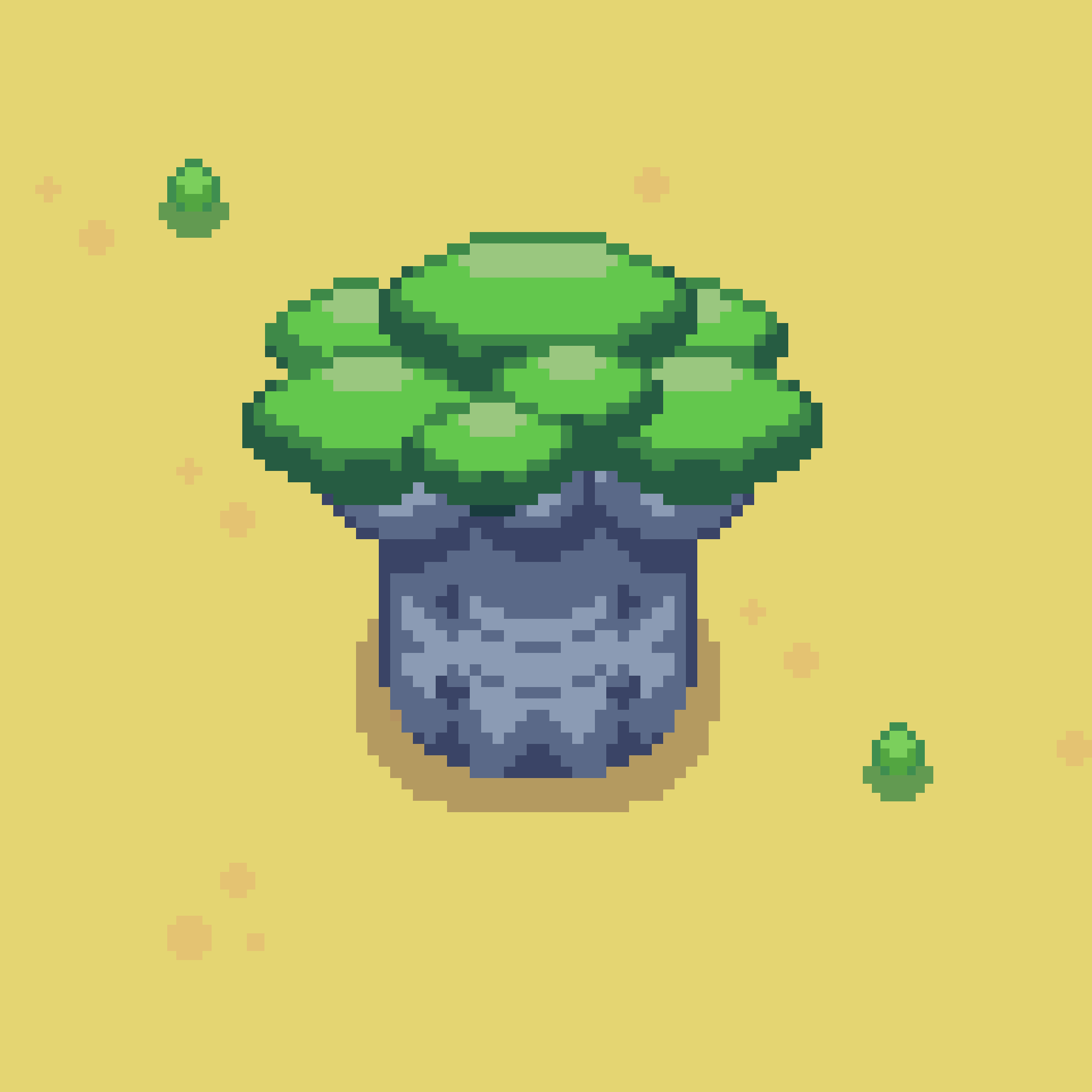 Baobab Tree