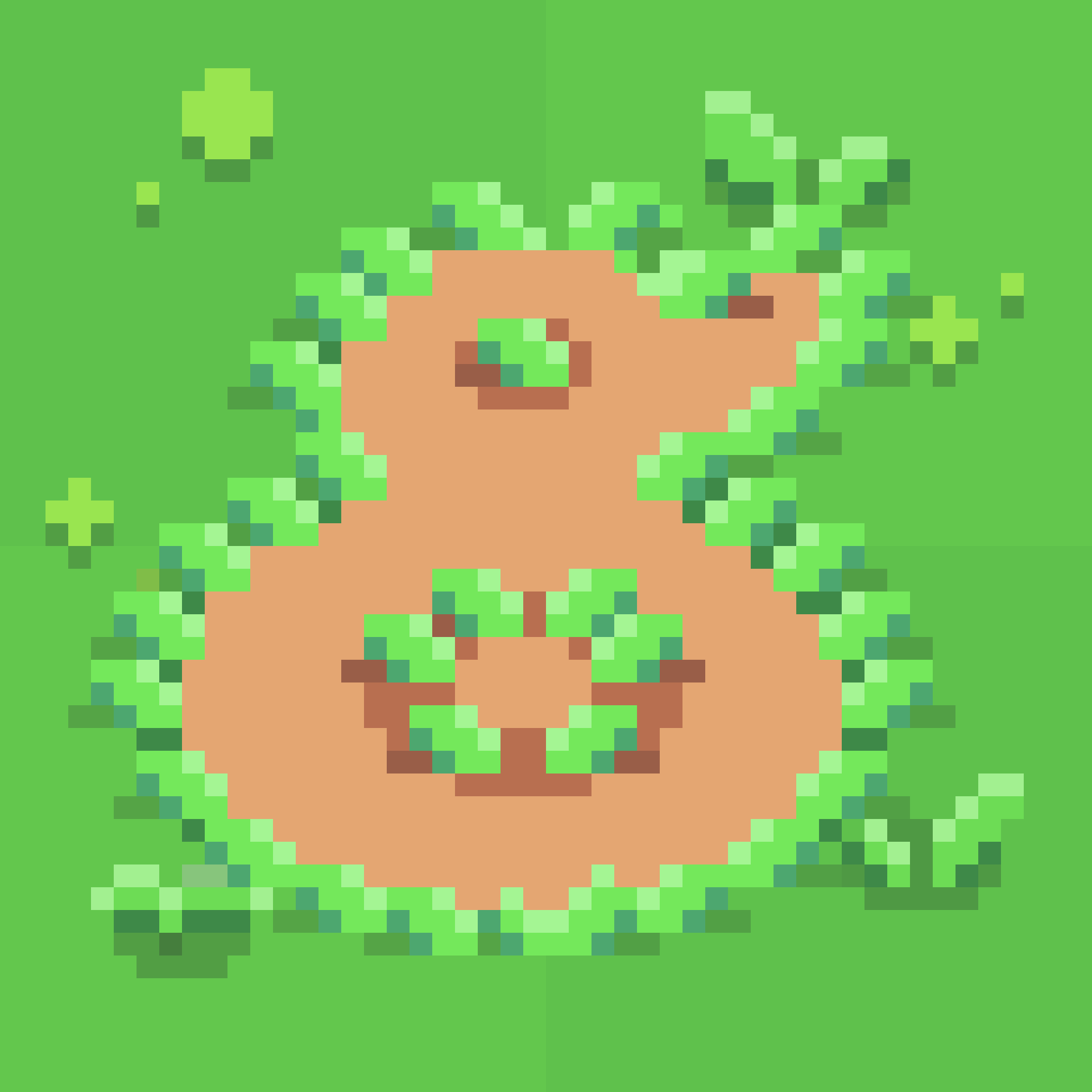 Crop Circle