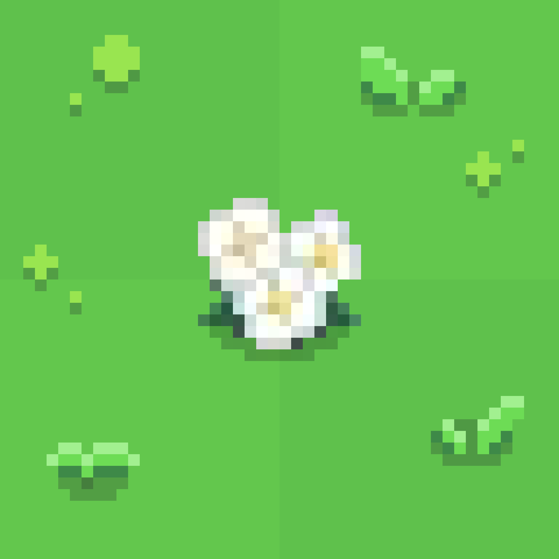 Chamomile