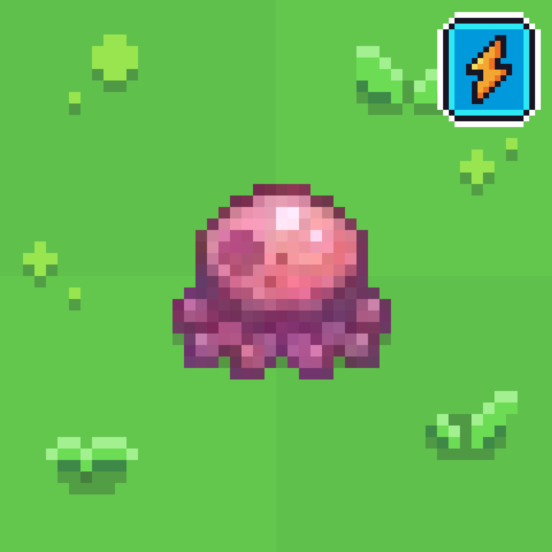 Jellyfish