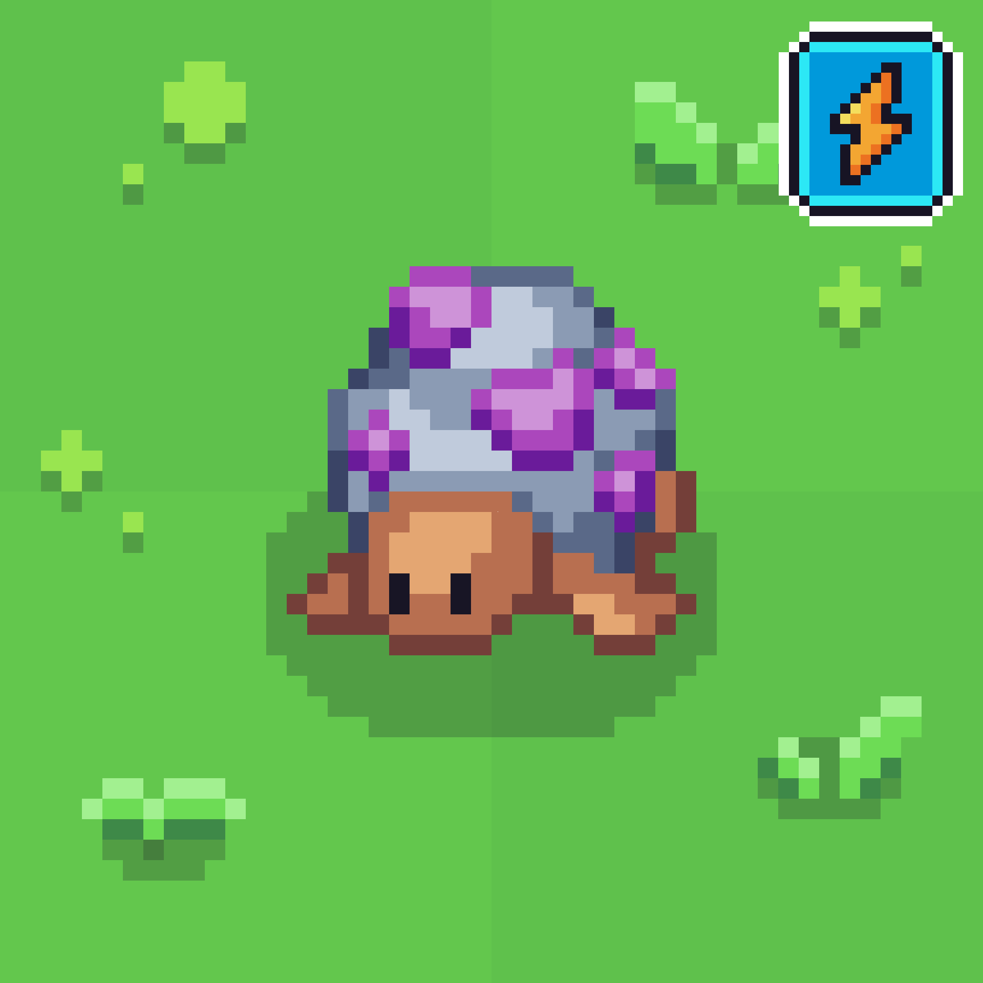 Obsidian Turtle