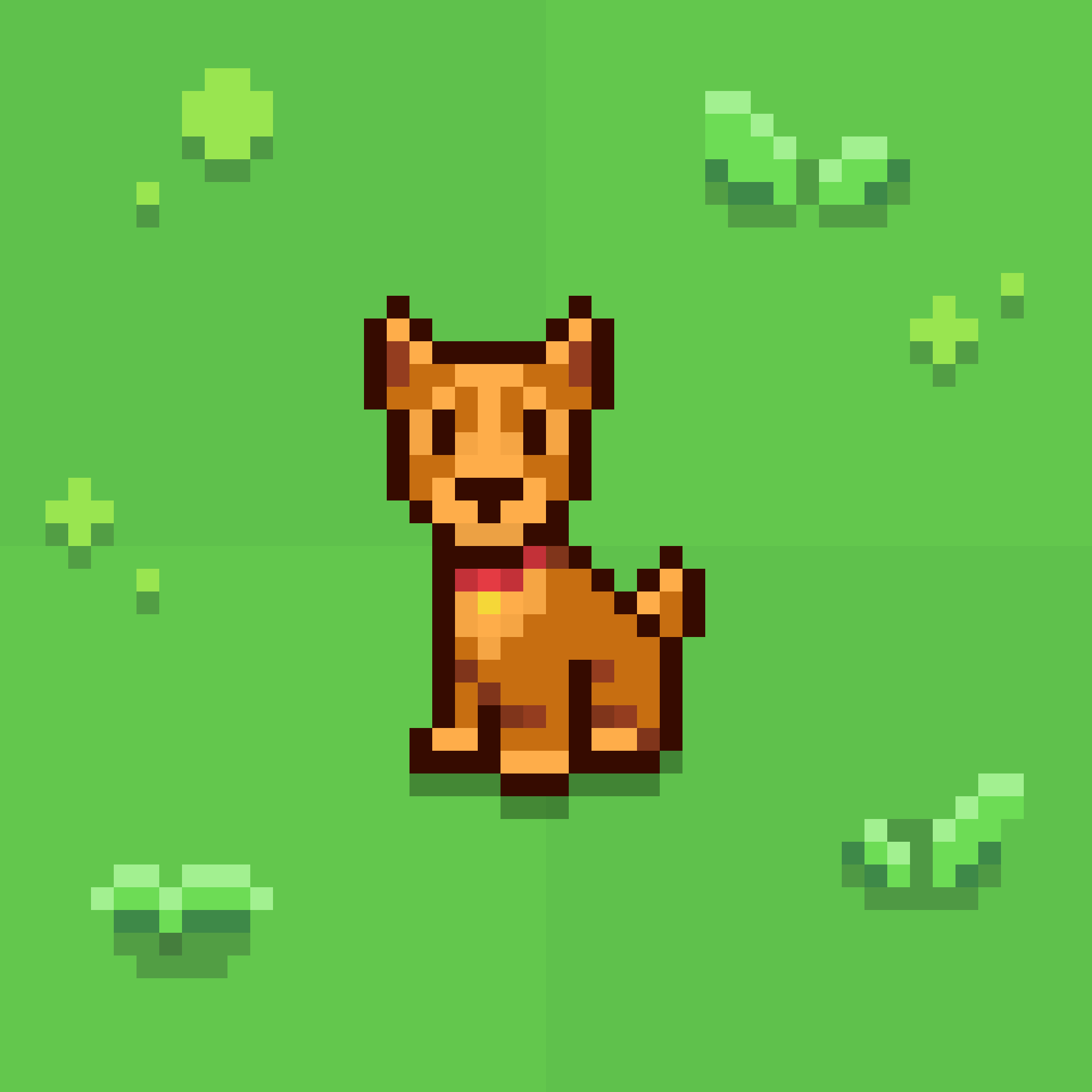 Farm Dog