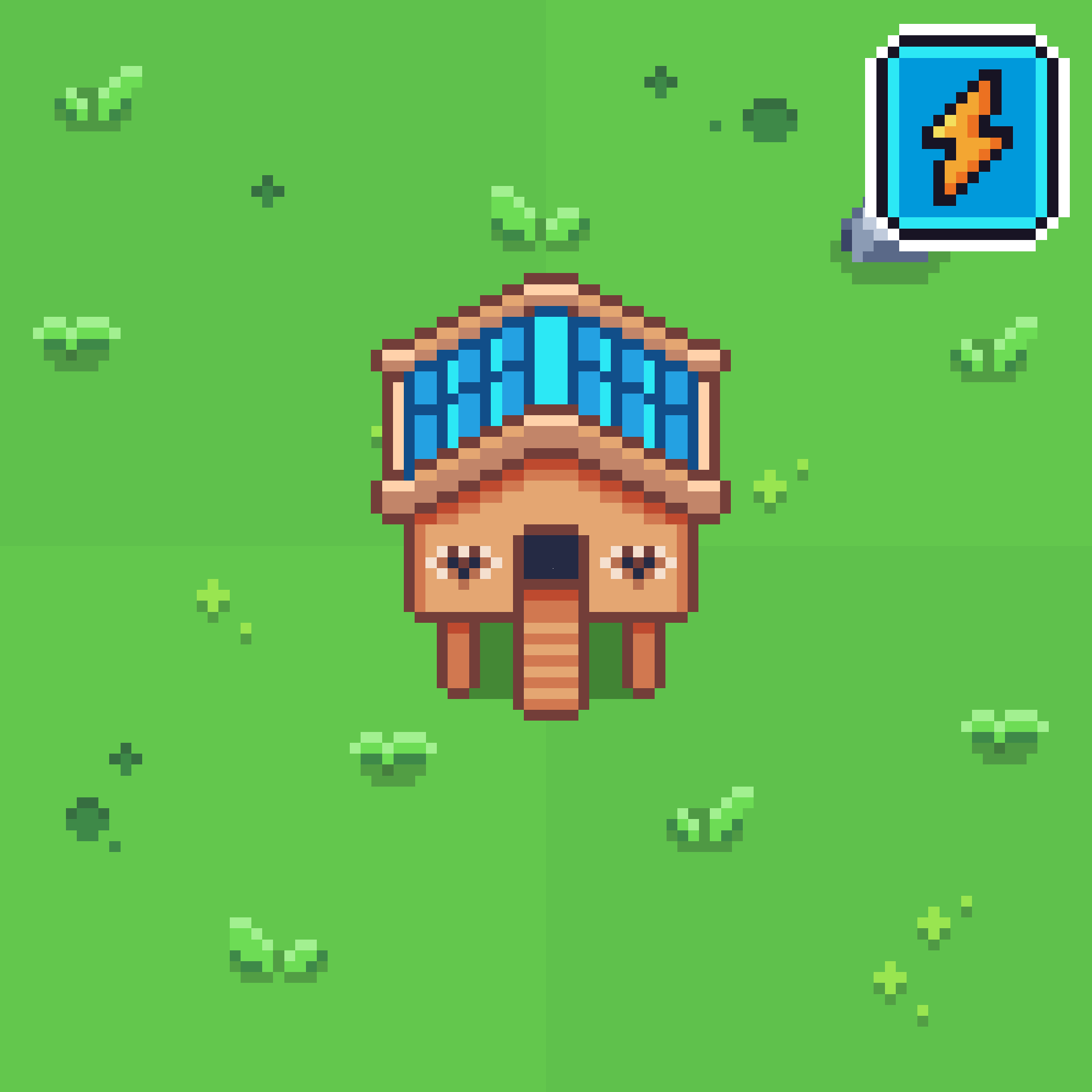 Chicken Coop