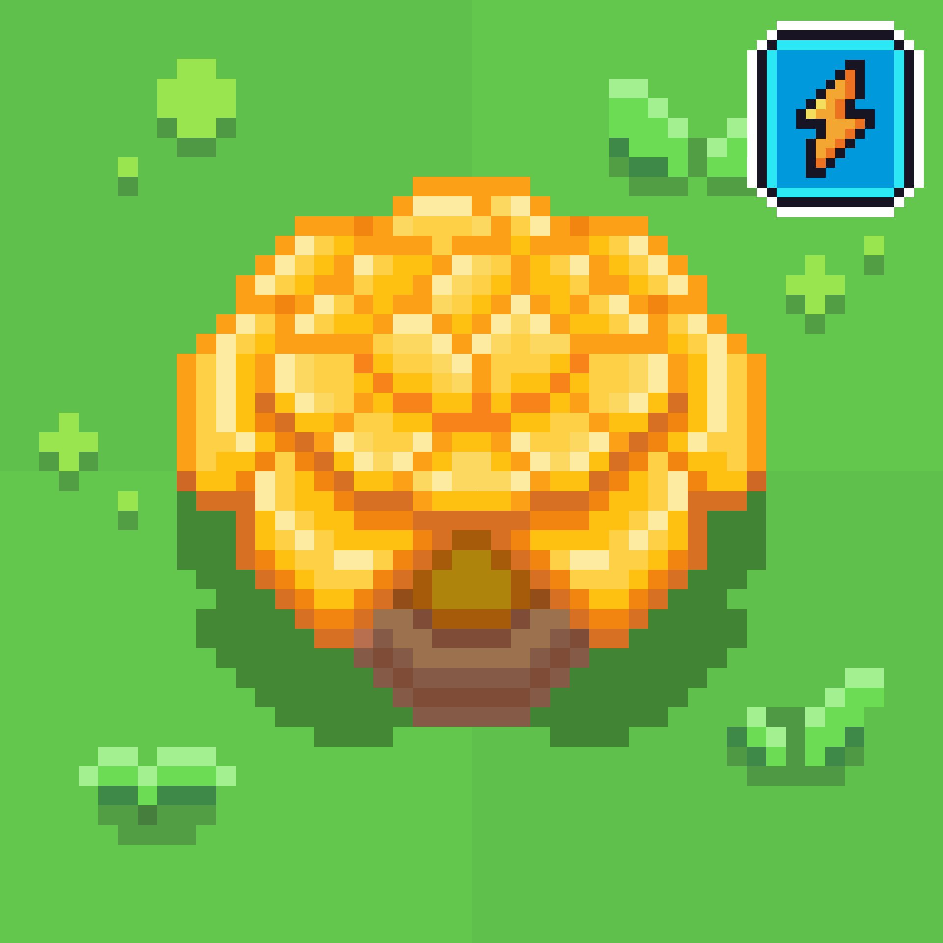 Golden Cauliflower