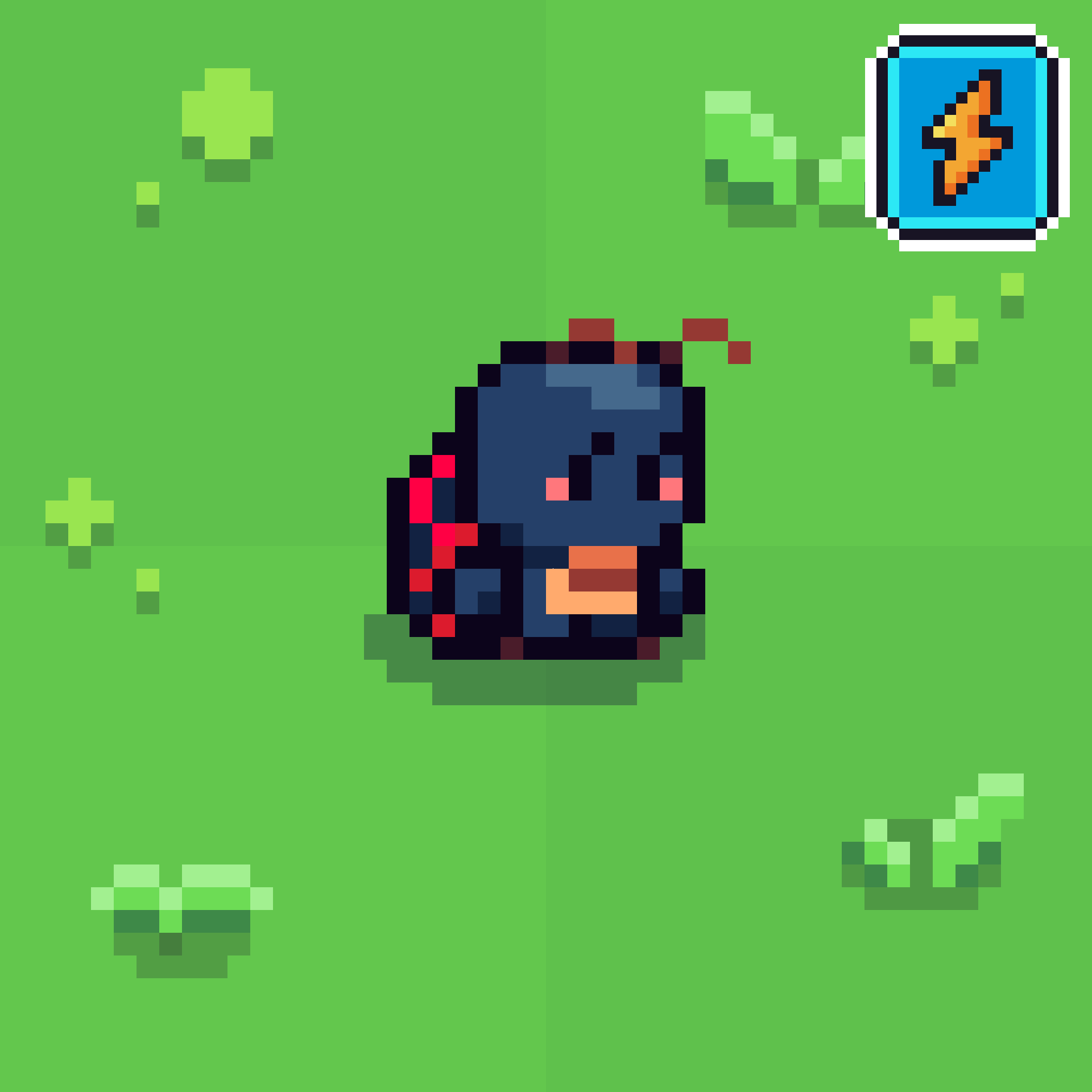 Lady Bug