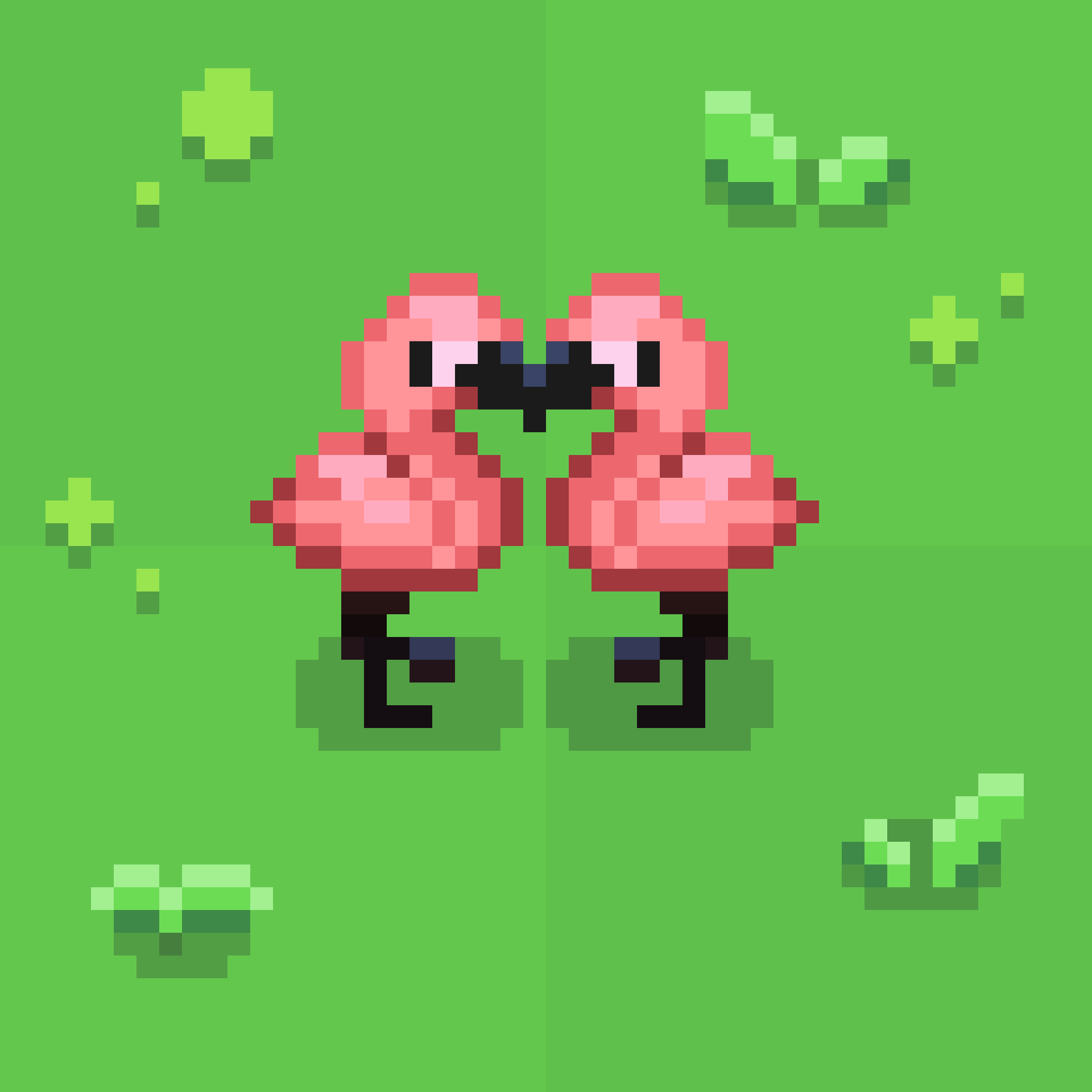 Flamingo
