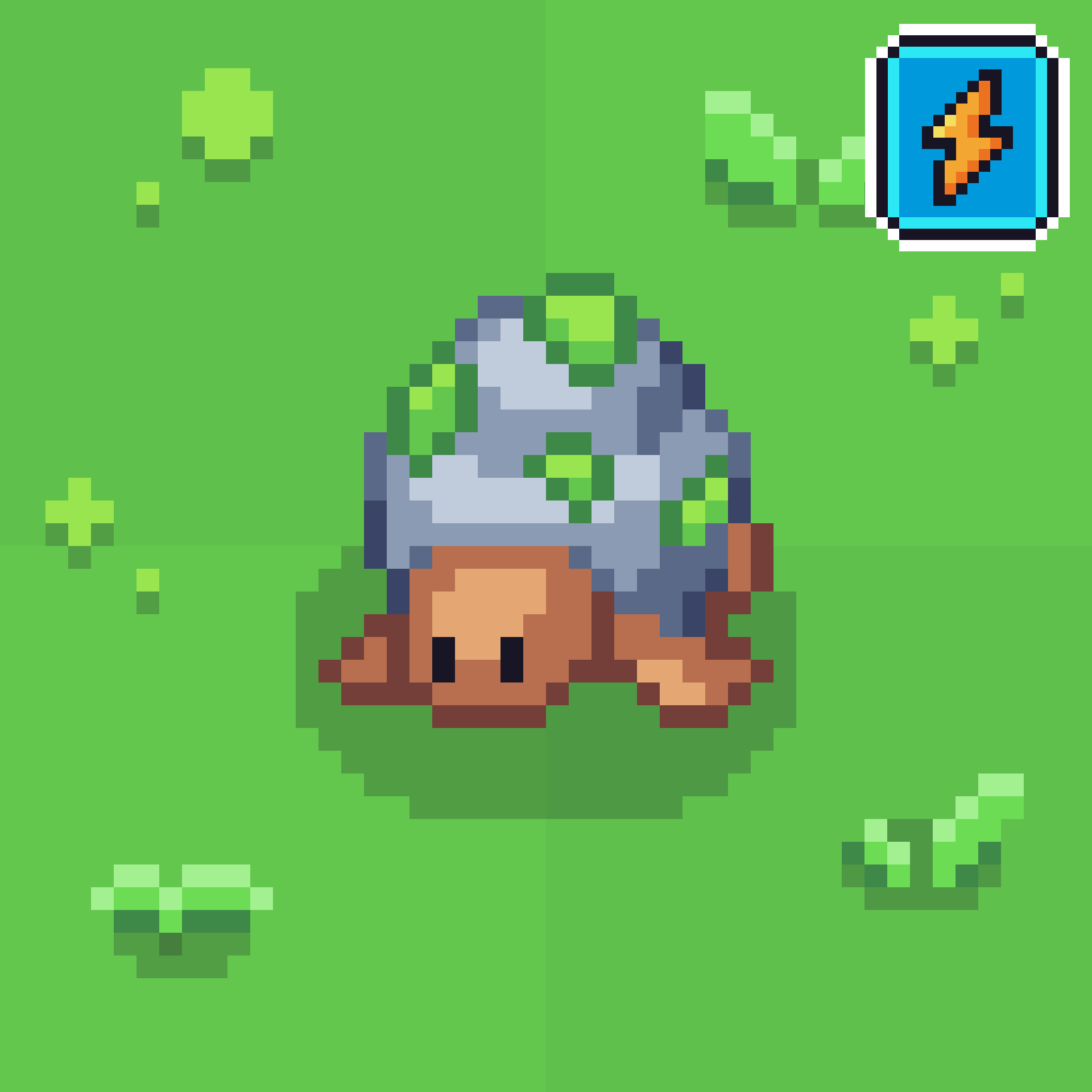 Emerald Turtle