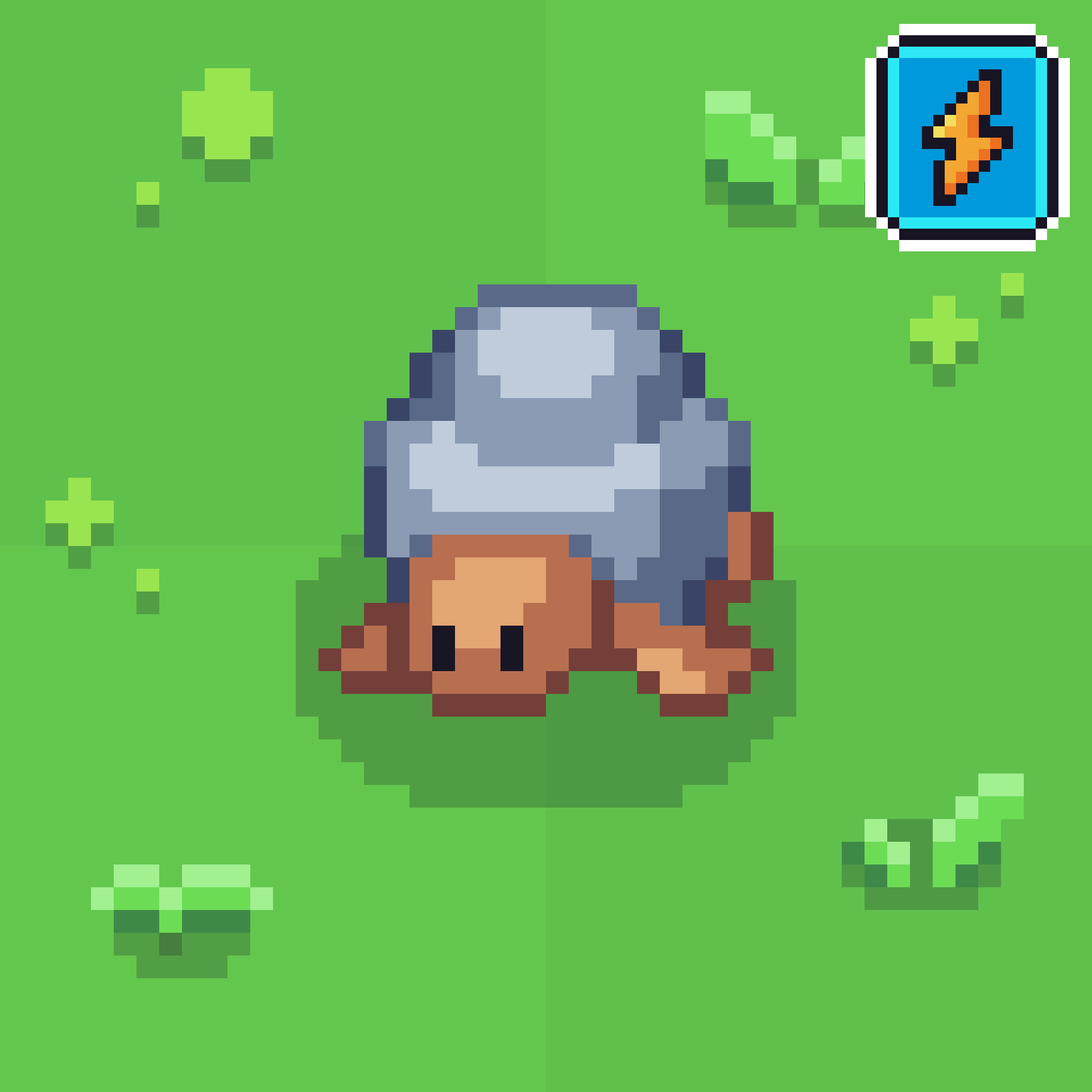 Tin Turtle
